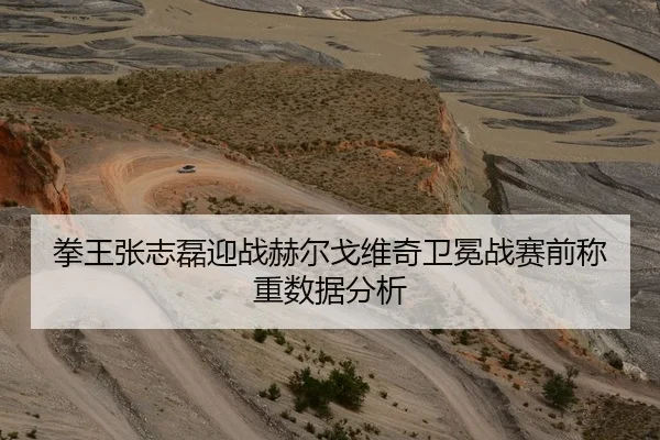 拳王张志磊迎战赫尔戈维奇卫冕战赛前称重数据分析