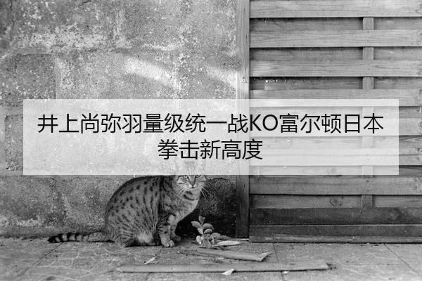 井上尚弥羽量级统一战KO富尔顿日本拳击新高度